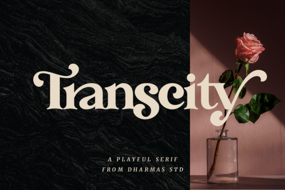 Transcity: The Bold Serif Redefining Modern Elegance
