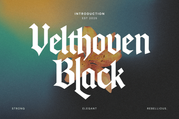 Velthoven Black: Where Blackletter History Meets Gothic Modernism